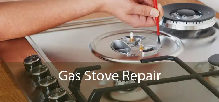 Gas Stove Repair
