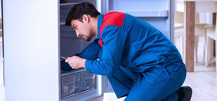 Ikea Freezer Repair Services in Orangeville